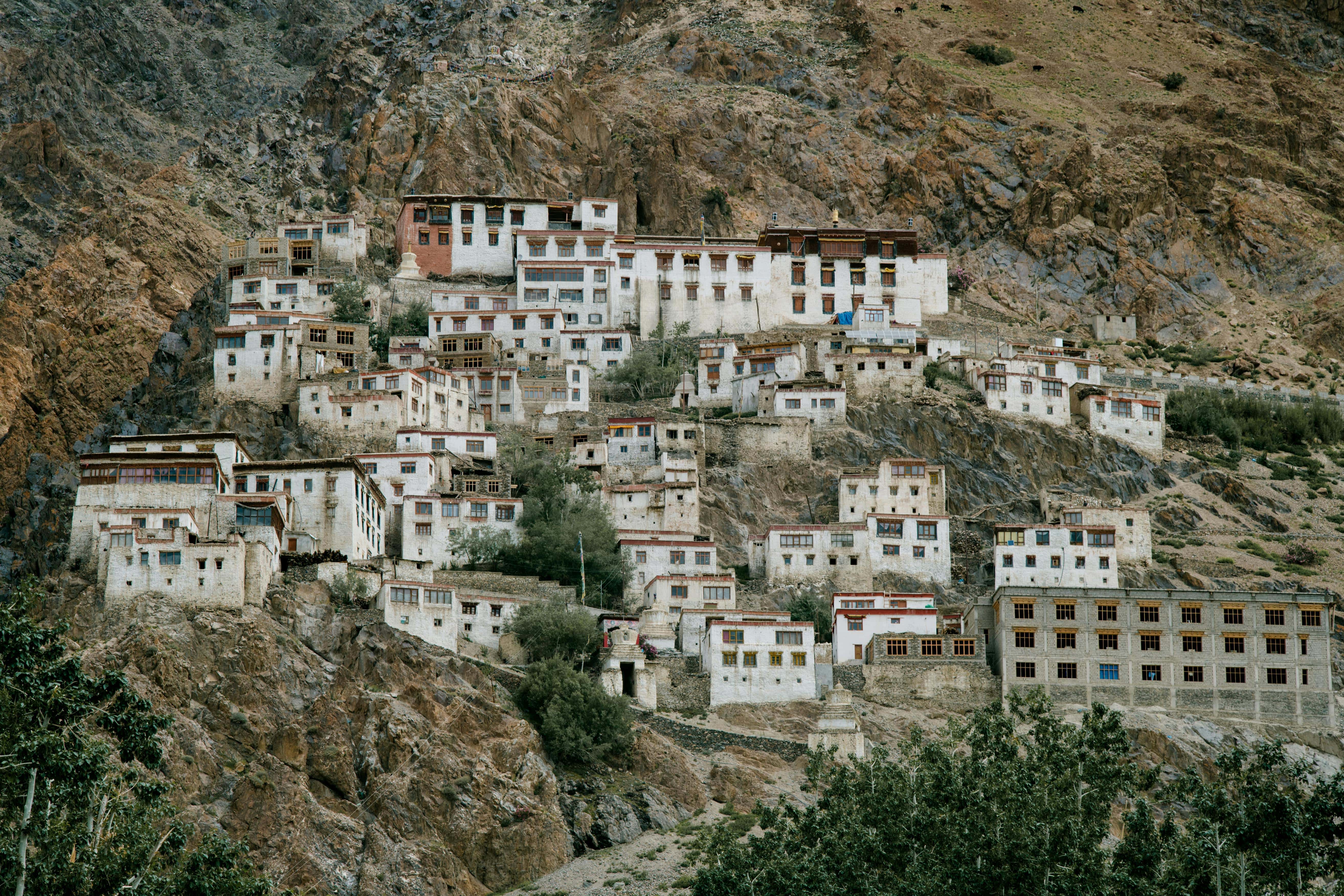 Leh Palace